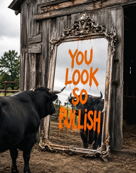 A black bull stands before an ornate mirror propped against a rustic wooden barn, with the mirror reflecting the bull's image and bearing the orange spray-painted text 'YOU LOOK SO BULLISH'.