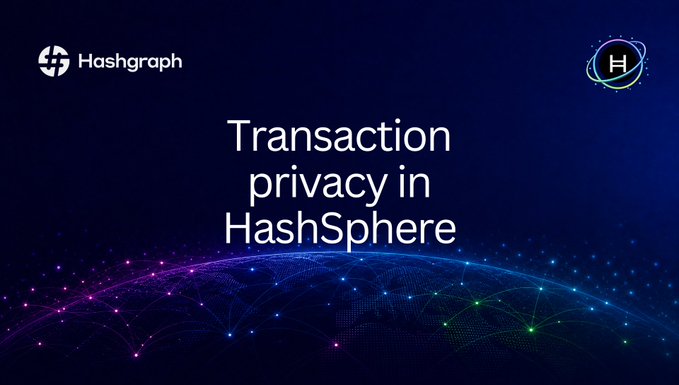 The image shows a presentation title slide with "Transaction privacy in HashSphere" displayed against a dark background featuring a glowing network sphere, alongside the Hashgraph logo. The slide visually introduces the topic of HashSphere's approach to transaction privacy, which the accompanying post discusses as addressing the "segregated state problem" where traditional private networks still expose all trades to a central coordinator.