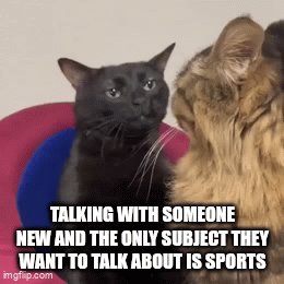 The image features a black cat sitting on top of a chair, looking directly at the camera with an expression of curiosity or interest. The background appears to be a wall, providing a simple backdrop for the scene. Below the cat's head, there is text that reads "Talk with someone new and the only subject they want to talk about is sports". This message seems to be related to the image, as it suggests that the cat might be interested in discussing sports or engaging in conversation about something related to sports.