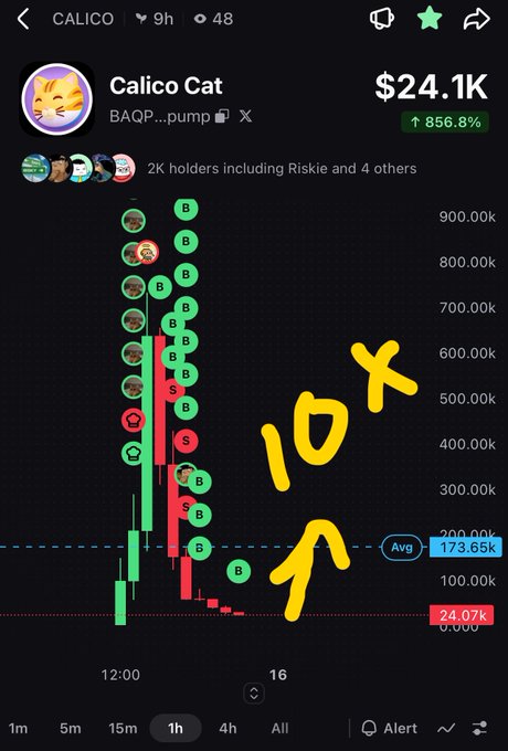 A cryptocurrency chart for 'Calico Cat' (CALICO) showing a price of $24.1K with a 856.8% increase, featuring green 'B' and red 'S' trade markers and yellow handwritten text reading '10x' with an arrow pointing upward.