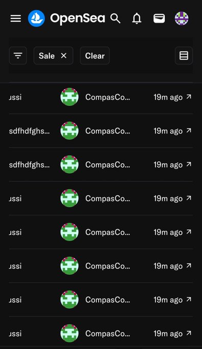 A screenshot of the OpenSea app shows multiple sale notifications from 'CompasCo...' (Compass Coin) for items with usernames 'sdfhdfghs...' and 'sssi' all timestamped '19m ago.'