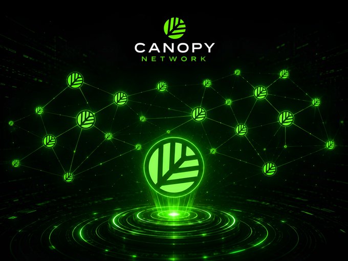 The image showcases the "CANOPY NETWORK" logo prominently at the top center, with a glowing green circular emblem featuring a stylized tree/leaf design suspended above radiating light rings, surrounded by an interconnected web of smaller matching logos against a dark background. This visual of a decentralized network with multiple connected nodes reinforces the post's theme of observing genuine community-driven building activity within the @CNPYNetwork ecosystem, where various apps, games, and experiments are actively being developed rather than just waiting for token launches or mainnet releases.
