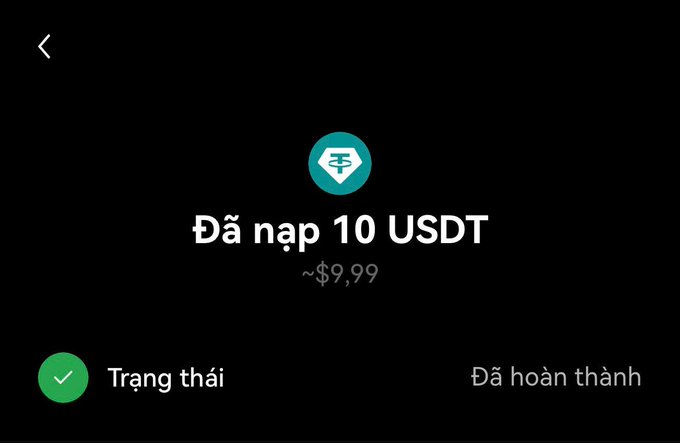 A mobile screenshot in Vietnamese showing a completed deposit of '10 USDT' with a checkmark and status 'Đã hoàn thành'.