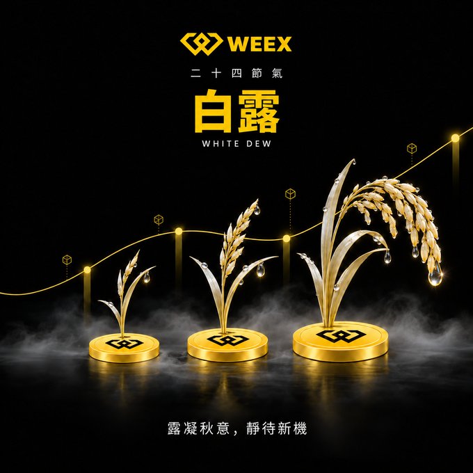 A promotional graphic for WEEEX's 24 Solar Terms series featuring '白露' (White Dew) with golden rice stalk sculptures adorned with dew drops, accompanied by the Chinese text '露凝秋意,静待新機' (Dew condenses autumn's meaning, quietly awaiting new opportunities).