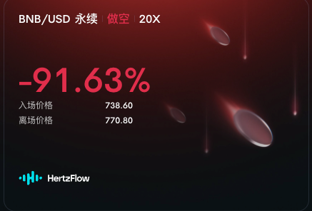 A trading screenshot showing a BNB/USD perpetual contract short position with a -91.63% loss, entry price 738.60, exit price 770.80, from HertzFlow.