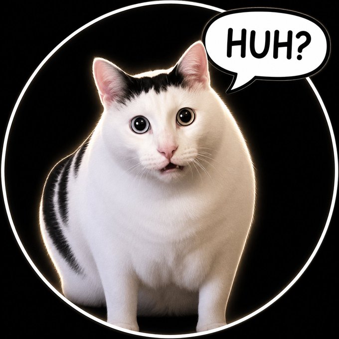 A wide-eyed, confused-looking white and black cat with its mouth slightly open sits inside a circular frame, accompanied by a speech bubble saying "HUH?" — visually embodying the viral meme's tone of playful confusion tied to the $HUH token.