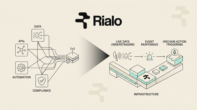 A 'Rialo' infographic diagram showing DATA, APIs, AUTOMATION, and COMPLIANCE flowing into infrastructure for live data understanding, event responsive, and onchain action triggering.