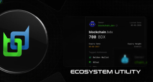 A cryptocurrency interface displays blockchain.bdx with 700 BDX in a wallet labeled 'BChat', branded as 'ECOSYSTEM UTILITY'.