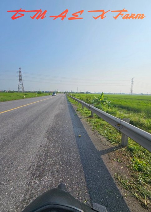 A first-person view from a motorcycle or bicycle traveling down a rural road with rice fields and power lines, featuring red stylized text at the top.