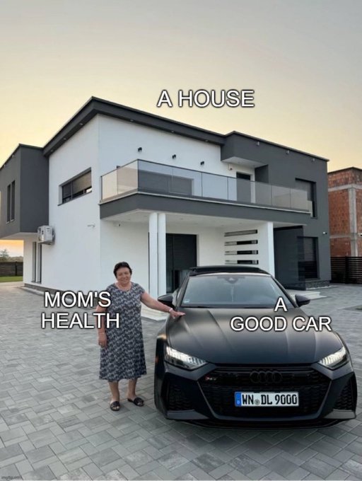 A meme-style image showing a woman standing next to a black Audi with German license plate "WN DL 9000" in front of a modern house, with labels "MOM'S HEALTH," "A HOUSE," and "A GOOD CAR."