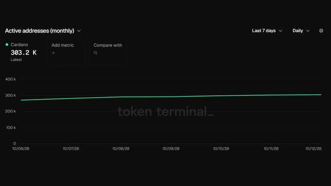 a Token Terminal chart showing Cardano's monthly active addresses at 303.2K, displayed as a relatively flat line over a 7-day period