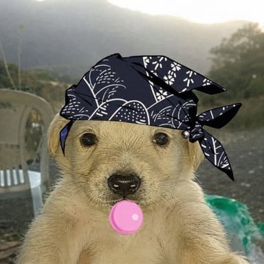 A golden retriever puppy wearing a navy blue bandana with a white floral pattern holds a pink bubble in its mouth, set against a scenic mountain backdrop. The image humorously pairs with the caption "i pray we get such a legendary run again" as the dog appears stylishly ready for another successful adventure.