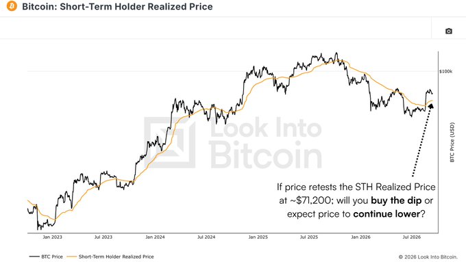 A line chart from Look Into Bitcoin comparing BTC Price to the Short-Term Holder Realized Price, with text asking 'If price retests the STH Realized Price at ~$71,200; will you buy the dip or expect price to continue lower?'