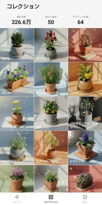 The image features a collection of potted plants displayed in various sizes, shapes, and colors. The largest plant is positioned towards the center of the frame, while smaller plants are scattered around the edges. There are at least 14 different types of plants showcased, each with its own unique characteristics. The post appears to be about the different kinds of plants or their care instructions, possibly in a foreign language due to the presence of Japanese characters.