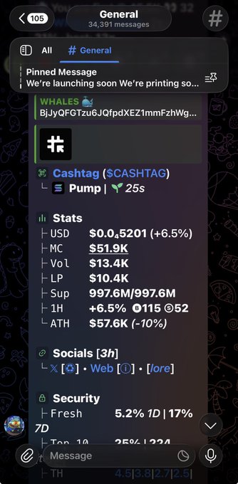 A Telegram chat interface displays crypto statistics for $CASHTAG including $51.9K market cap, $13.4K volume, and various social and security metrics.