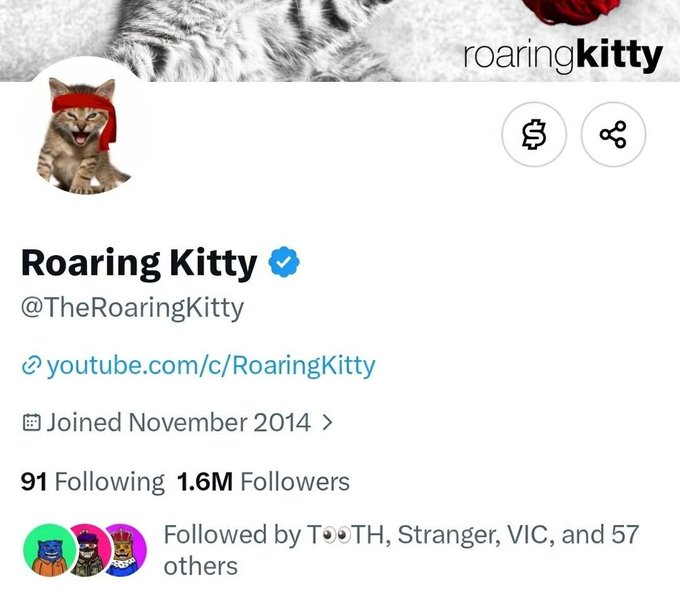 A Twitter/X profile page for 'Roaring Kitty' (@TheRoaringKitty) showing a verified badge, 1.6M followers, a link to youtube.com/c/RoaringKitty, and a cat wearing a red headband as the avatar.