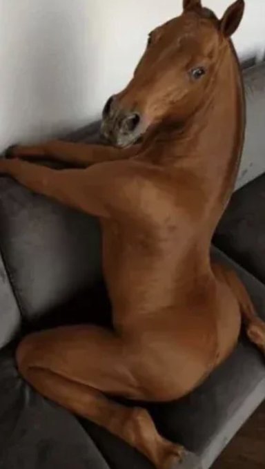 A hairless-looking reddish-brown dog sits upright on a couch with its front paws raised, appearing almost alien-like. The image humorously illustrates the post's description of endlessly collecting "griftfinity stones" through paid communities, scams, and memecoin schemes—suggesting the bizarre, seemingly endless accumulation of worthless items.
