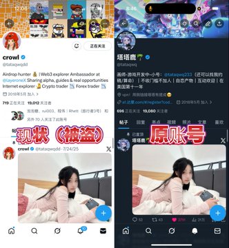 A side-by-side comparison of two social media accounts: a Twitter profile for 'crow1' (@makonoid) on the left and a Twitter profile for '培培哥' (@stagepaco) on the right, both featuring a video of a woman in bed with Chinese text overlays indicating a comparison of follower counts.