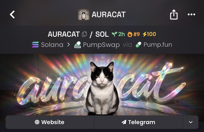 A mobile screenshot of the AURACAT/SOL token page on PumpSwap via Pump.fun, showing the token at rank #9 with a market cap of $100 and 2-hour old listing. The page features a tuxedo cat with rainbow light effects and the text "aura cat" in stylized lettering, with Website and Telegram buttons visible. The accompanying post promotes $AURACAT as a "runner" token that will outperform other memecoins like $ANSEM, $CATE, and $JIMOTHY, using the contract address shown in the listing.