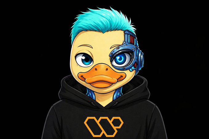 The image features a cartoon duck wearing an orange hoodie with the letters "W" and "P" printed on it, standing against a black background. The duck appears to be posing for the camera, giving off a friendly vibe. The caption below the image reads, "I honestly think that the Wallchain select is a real win-win strategy.. Both parties receive a fair share of the transaction: - projects get the value for their money.. - creators get paid for the target audience they provide."