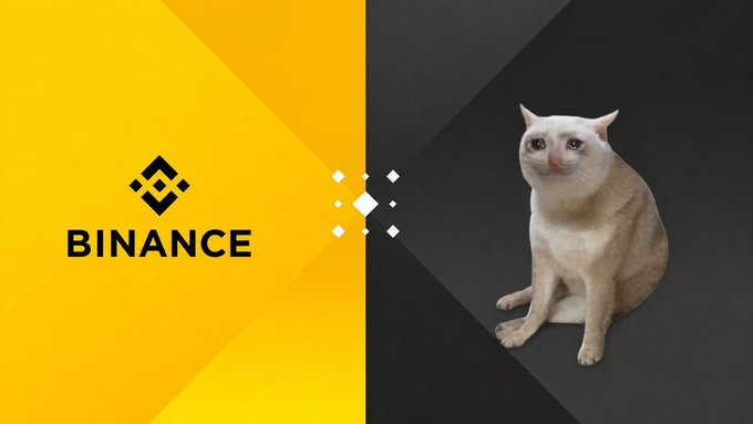 A promotional graphic featuring the Binance logo (yellow side) alongside a white cat (black side), visually representing a campaign to get Binance to list the fictional "$CASHCAT" token, as suggested by the accompanying post asking users to like and retweet in support of the listing.