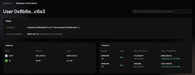 A blockchain explorer interface showing address details for User 0x8b6e...c6a3 with an account balance of $880,547.91, holding 861,436.45 USDT and 99.96 AT tokens, with active positions in GRR/USDT and APX/USDT.