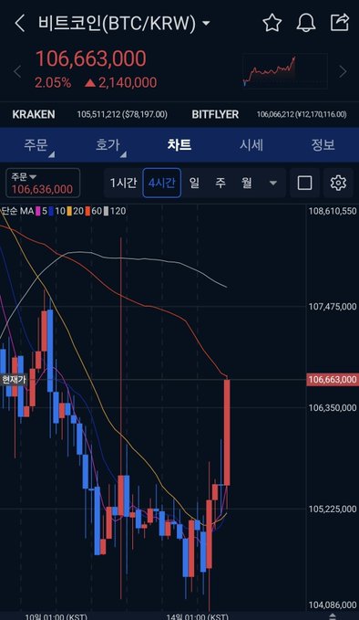 A Korean Bitcoin (BTC/KRW) trading chart from BITFLYER showing the current price at 106,663,000 KRW (+2.05%, +2,140,000), with candlestick data and moving averages (MA 5, 10, 20, 60, 120) displayed on a 4-hour timeframe.