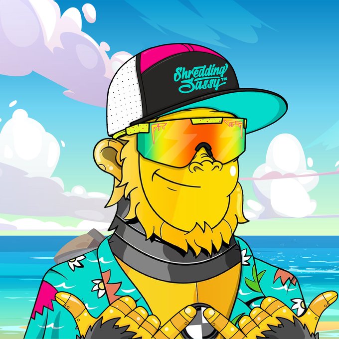 A digital illustration depicts a yellow cartoon character with a beard wearing a 'Shredding Sassy' cap, reflective sunglasses, and a Hawaiian shirt against an ocean backdrop.