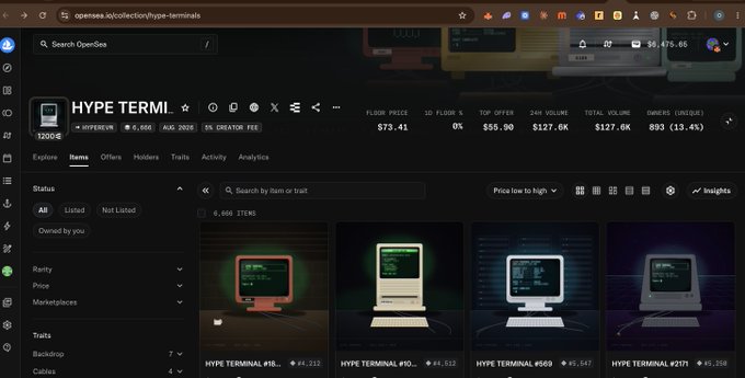 An OpenSea NFT collection page titled 'HYPE TERMI!' displaying 1200 items with retro computer-themed digital artwork and pricing data.
