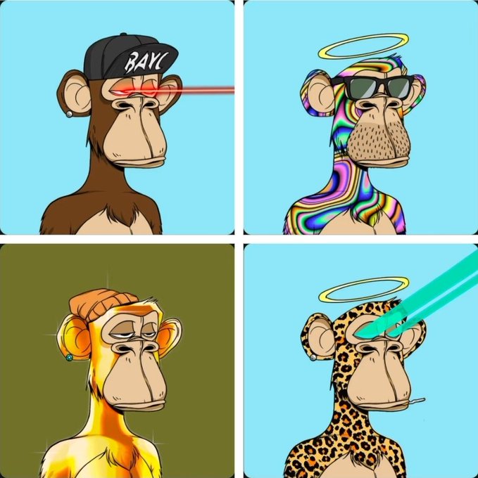 A four-panel grid featuring variations of Bored Ape NFTs: one with a laser-eyed 'BAYC' cap, one with a psychedelic pattern and halo, one golden ape with a beanie, and a leopard-print ape with a halo and laser eyes.