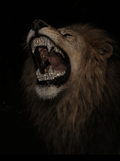 ?"The lion has #LUNC teeth and its mouth is open", and "focus on what is in the image and how it relates to the post" as a caption, so there is no information about the text or any other objects featured in the image.