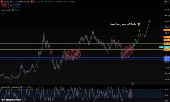 A TradingView stock chart of Tesla Inc. (TSLA) showing price levels with red circles marking consolidation zones and an annotation reading 'New Year, Year of Tesla'.