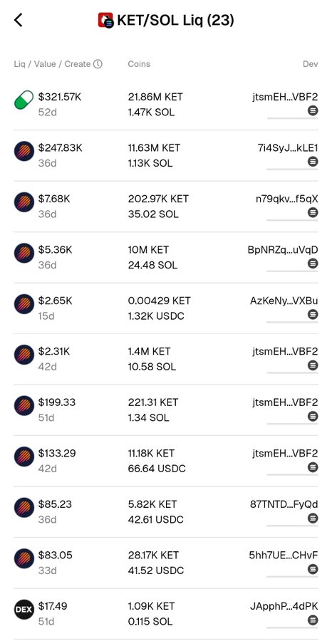 A mobile app screen showing cryptocurrency liquidity pools for 'KET/SOL' with various token amounts, USD values, and developer addresses listed.