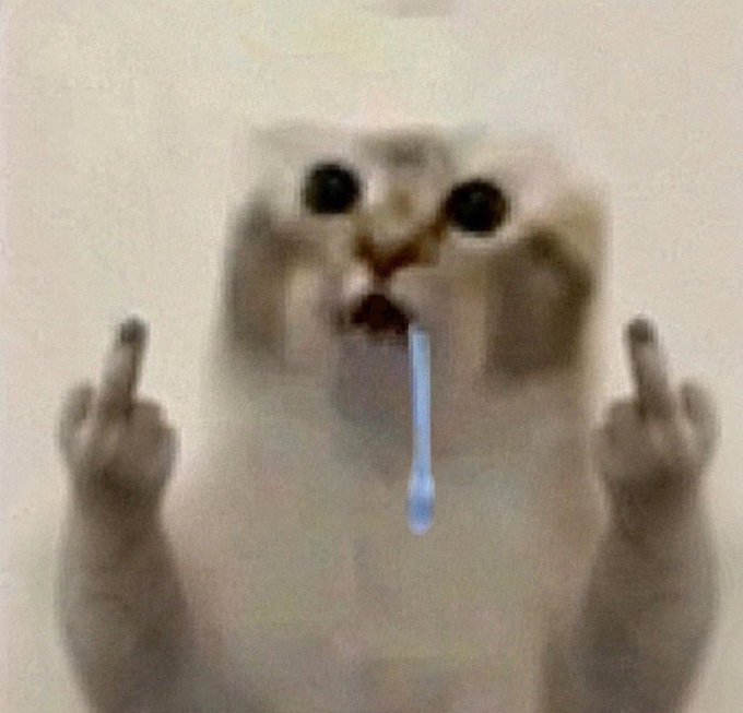 A blurry image of a cat appearing to have a toothbrush in its mouth, giving the middle finger with both paws.