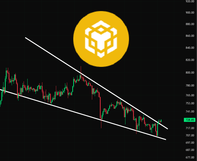 The image shows a candlestick chart of BNB (Binance Coin) trading at 728.85 within a falling wedge pattern, with descending upper and lower trendlines converging on the right side of the chart alongside the BNB logo. This technical setup illustrates the bearish consolidation mentioned in the post, suggesting potential for a bullish breakout if the price breaks above the upper resistance.