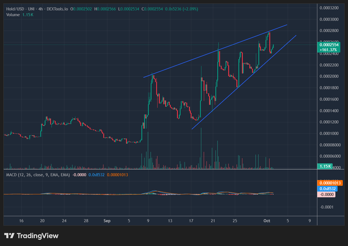A TradingView candlestick chart shows the HOLD/USD pair on DEXTools.io with a 4-hour timeframe, featuring blue trendlines forming a rising channel pattern, a MACD indicator below, and a price of 0.0002554.