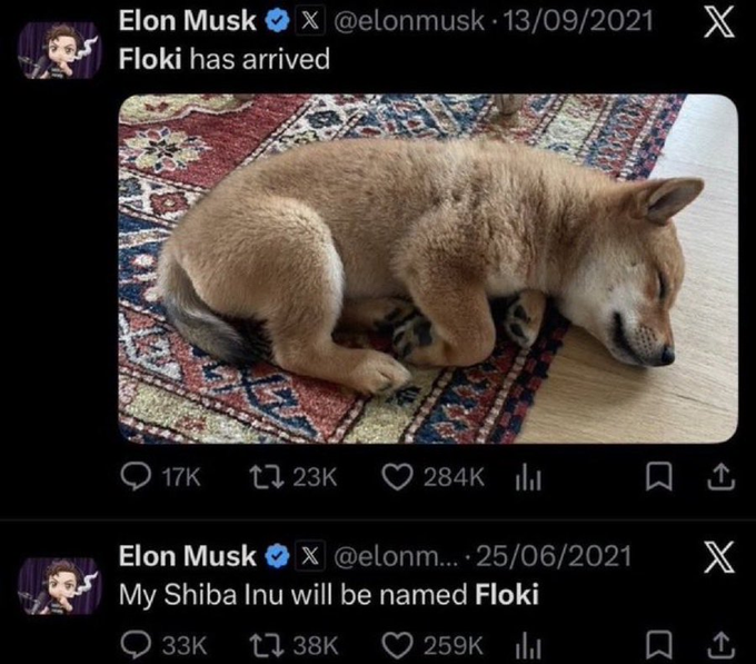 Elon Musk tweets about his Shiba Inu dog named Floki, with one post from June 25, 2021 stating "My Shiba Inu will be named Floki" and a follow-up on September 13, 2021 announcing "Floki has arrived" alongside a photo of the puppy sleeping on a patterned rug. The tweets gained massive engagement (284K likes and 259K likes respectively) and are cited in crypto lore as catalysts for FLOKI token's rise from 5M to billions in market cap, a trajectory now being compared to the $ASTEROID token.
