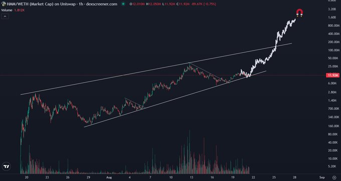 The image displays a 1-hour Uniswap candlestick chart of the HMM/WETH trading pair, showing a sharp price surge from around 5.00M to a peak of 12.0508 (marked with a "7" annotation), with volume spiking to 1.812K at the latest candle (11.926B, -89.67%)—visualizing the explosive rally referenced in the post about rapid bull market momentum and anticipated retail inflows.