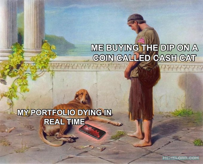 Crypto meme featuring classical painting art with text 'Me buying the dip on a coin called Cash Cat' and 'My portfolio dying in real time,' credited to memelord.com.