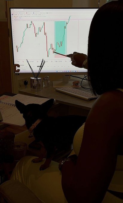 A woman wearing a white shirt is sitting down, focused on a computer screen displaying charts and graphs related to the stock market. She appears to be an active trader, analyzing the data displayed. On her lap, there is a small dog. Beside her, there are two cups - one near the dog's left side and another further away from her, closer to the edge of the desk. The presence of these items suggests that she might have been working for some time and has taken a break or is about to continue with her analysis.