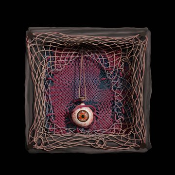 A dark, surreal 3D artwork showing a single eyeball surrounded by tangled string-like nets within a shadowy, box-like frame.