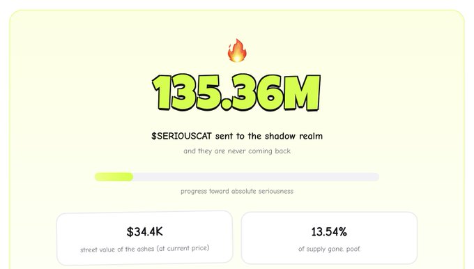 A humorous dashboard widget displaying "135.36M" with the message "$SERIOUSCAT sent to the shadow realm and they are never coming back," showing 13.54% supply burned and $34.4K street value.