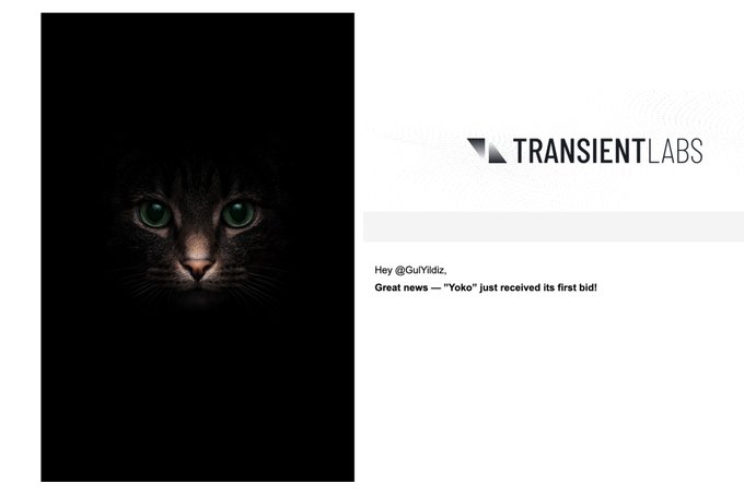 The image features a dark, dramatic photograph of a cat's face emerging from a black background with glowing green eyes, alongside the Transient Labs logo. The post announces that "Yoko" has received its first bid from @ToneAce561 on the Transient Labs NFT platform for the Whiskey cat auction.