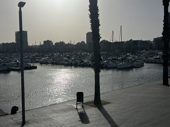 The image shows a serene waterfront scene with boats docked at a pier, surrounded by buildings. There are several palm trees scattered throughout the area, adding a tropical touch to the setting. The sun is shining brightly, casting shadows on the ground and creating a beautiful contrast between light and dark areas in the photo.
