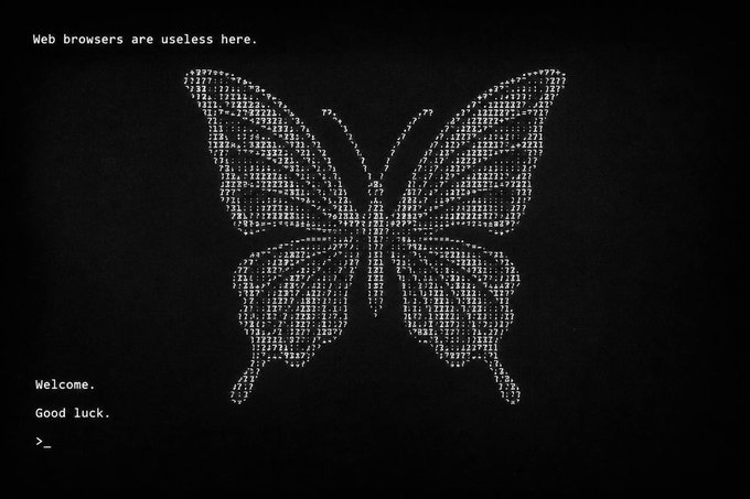 A black screen displaying a butterfly made of white ASCII text, with the message 'Web browsers are useless here.' at the top and 'Welcome. Good luck. >_' at the bottom left.