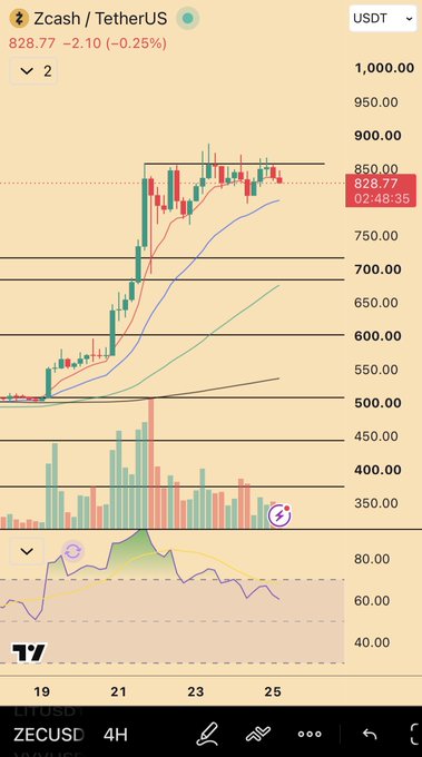 A TradingView 4-hour chart of Zcash (ZEC) priced at $828.77 (down 0.25%) against USDT, with a dashed resistance level marked near $850 and an RSI indicator at the bottom showing overbought territory near 80, illustrating ZEC's recent parabolic rally that the post references as a possible "playbook" for HYPE's anticipated price action.