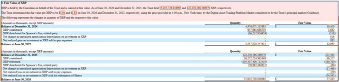 Financial document showing Fair Value of SXP table with balance amounts at December 31, 2024 and June 30, 2025, displaying share quantities and fair values.