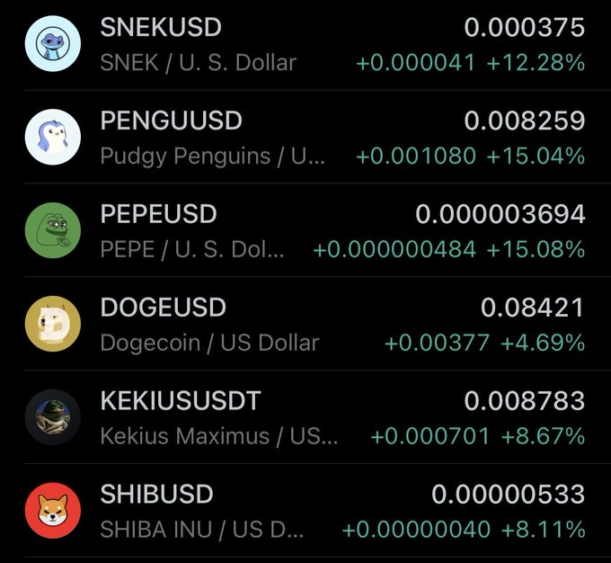 A cryptocurrency price list showing meme coins including SNEKUSD (+12.28%), PENGUUSD (+15.04%), PEPEUSD (+15.08%), DOGEUSD (+4.69%), KEKIUSUSDT (+8.67%), and SHIBUSD (+8.11%) all in green.