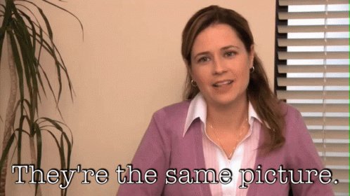 The image features a woman wearing a purple blouse, sitting at her desk with a window behind her. She has a serious expression as she looks directly into the camera. The caption below the image reads "They're the same picture." This phrase is likely meant to be humorous or satirical, as it implies that the woman and the corporate world are identical in some way.
