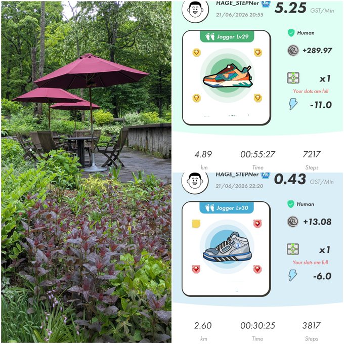 The image shows a collage of two photos, one with an umbrella over a table surrounded by plants and flowers, and another photo featuring a pair of sneakers next to a table with chairs. The first photo has a caption that reads "2026/06/21", while the second photo has a caption that says "5.55". Both images are related to the post in question, which is about tracking steps taken during a run or walk using an activity app.